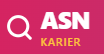 ASN KARIER BKN